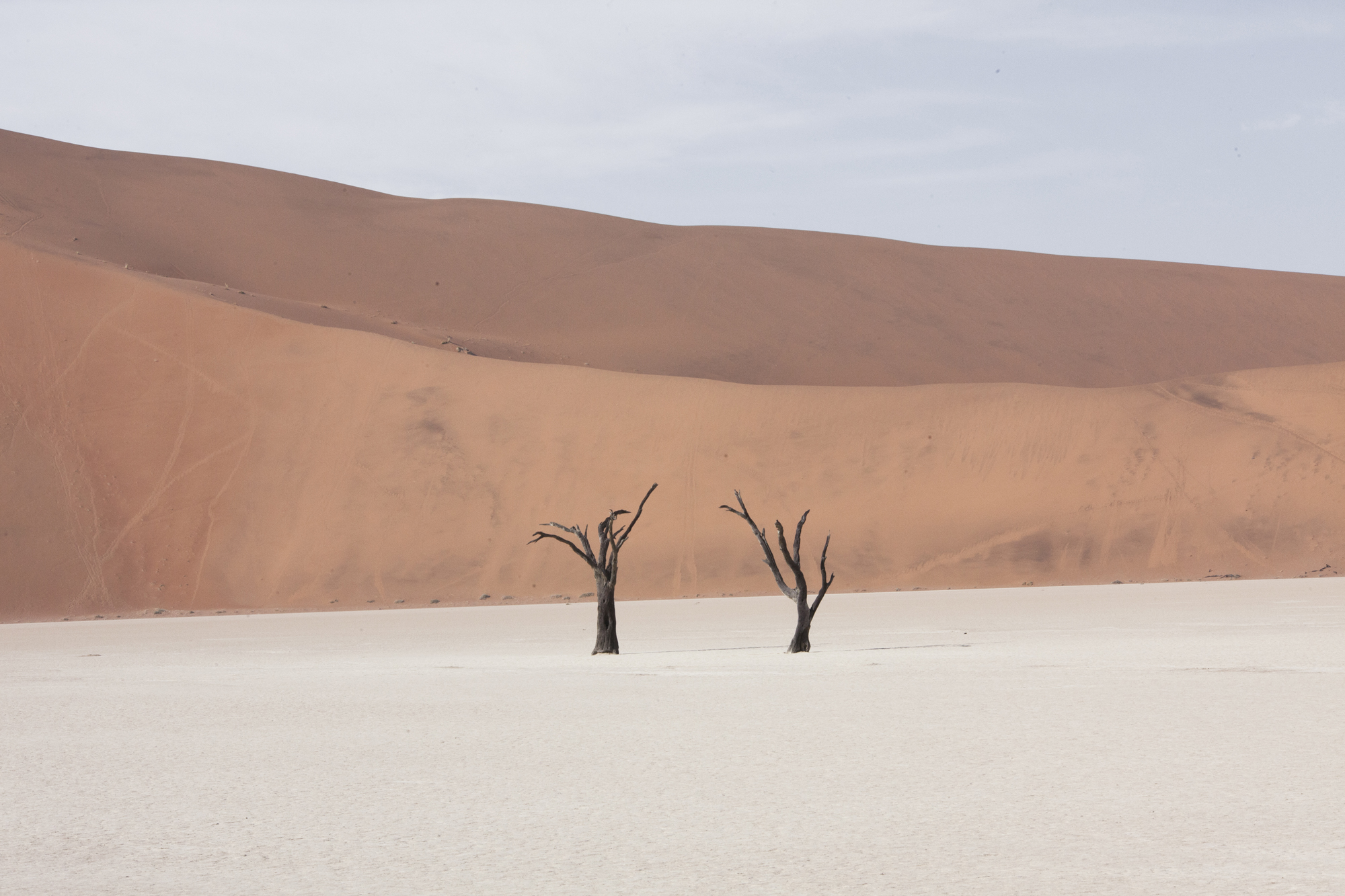 Пустыня Намиб Долина смерти